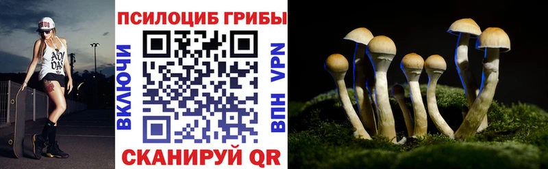 Псилоцибиновые грибы GOLDEN TEACHER Тотьма